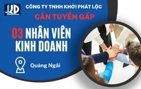 Tuyển Nhân viên Kinh doanh Xi măng và Phụ gia (Quảng Ngãi)