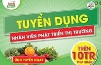 Nhân viên Phát triển Thị trường