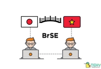 日本人 BrSE_3000usd