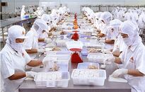 KỸ SƯ THỰC PHẨM LÀM VIỆC TẠI NHẬT BẢN KAGOSHIMA