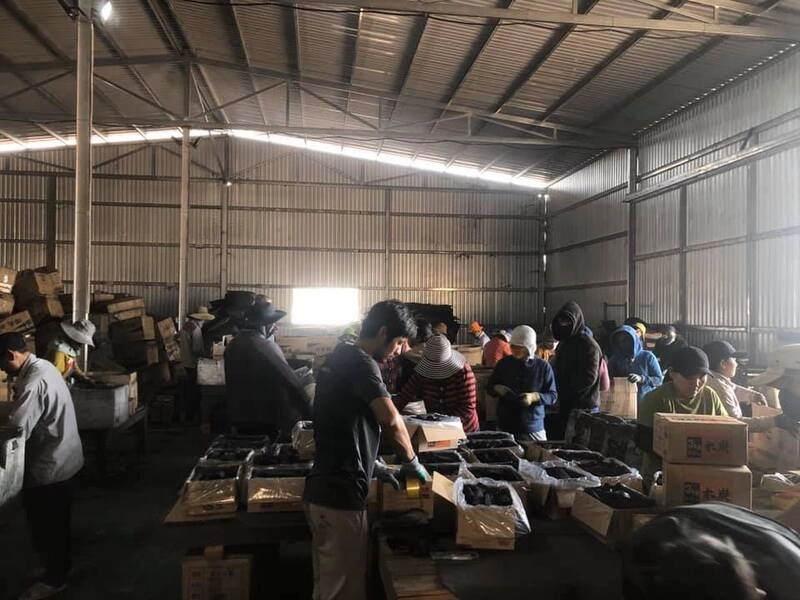 Nhân viên Đóng Hàng - KYO SUMI CO.,LTD, NGUỒN LỰC BIỂN ĐÔNG GROUP